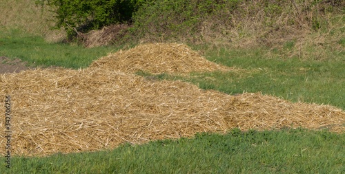 Stroh auf Feld  photo