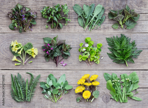 Edible plants and flowers, fresh spring harvest on a wooden rustic background. Medicinal herbs and wild edible plants growing in early spring. photo