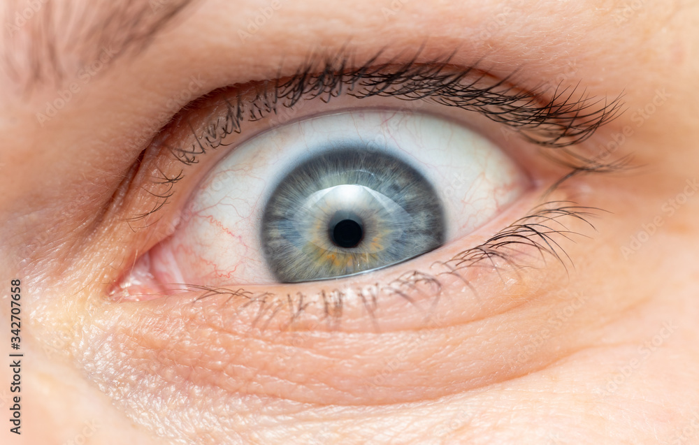 Fototapeta premium Middle age woman narrowed blue-gray eye macro. Caucasian ethnicity.