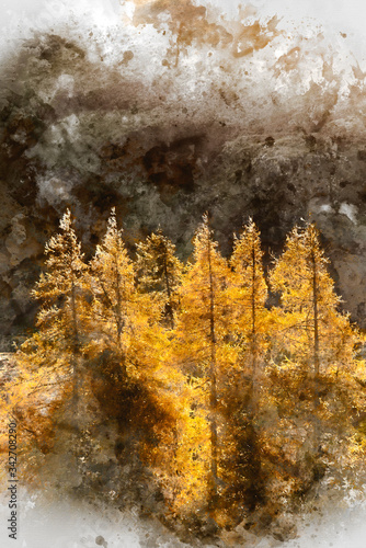 Digital watercolor painting of Majestic Autumn Fall landscape of backlit larch trees in Lake District viewed from Hallin Fell durnig a cold morning photo