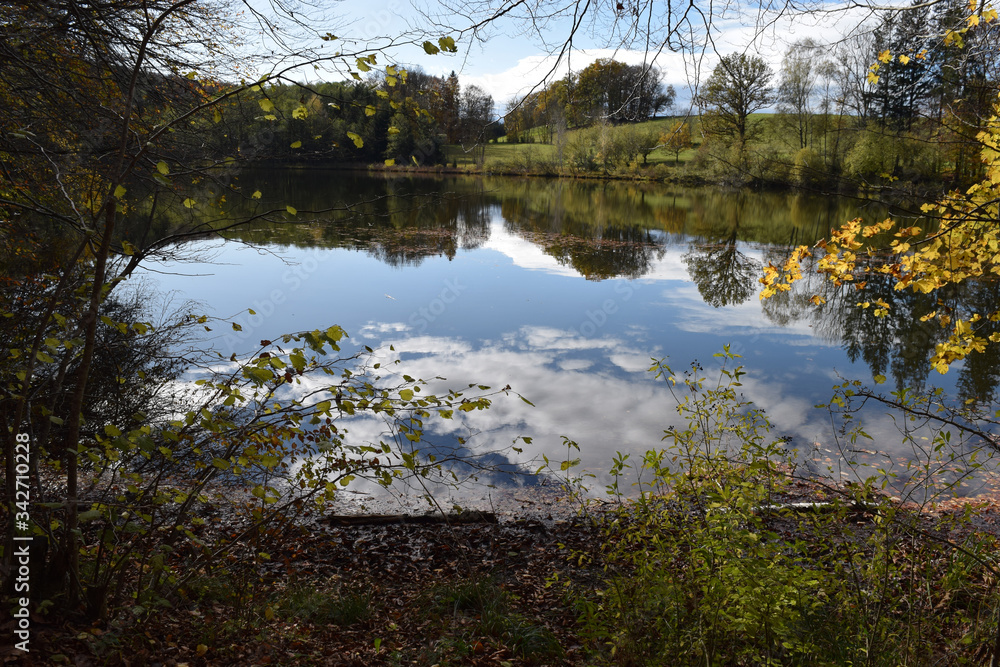 Fototapeta premium Weldener Fischweiher