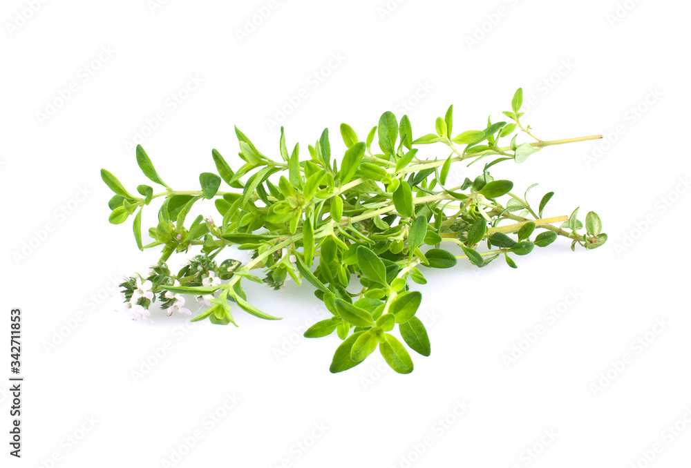 Fresh thyme herb isolated on white Fresh thyme herb isolated on white
