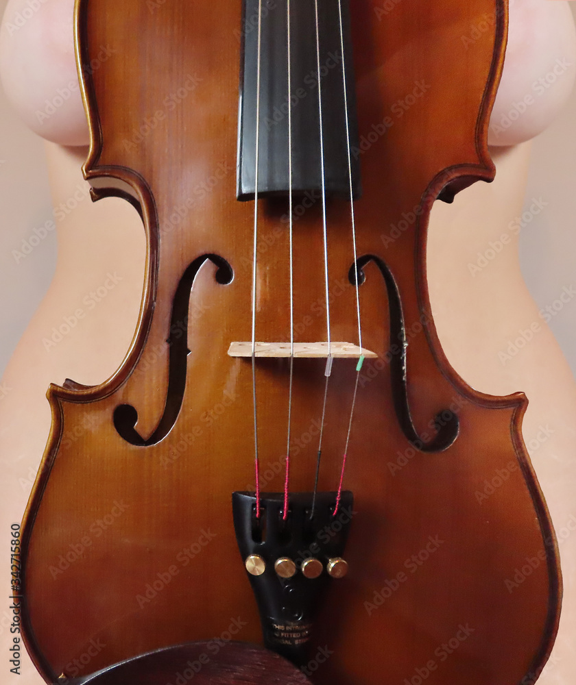 Violino
