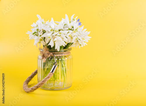 Spring time flowers like snowdrops, hyacinth and roses, isolated on yellow simple background, spring symbol and traditional romanian 