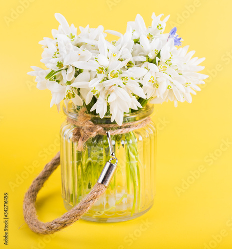 Spring time flowers like snowdrops, hyacinth and roses, isolated on yellow simple background, spring symbol and traditional romanian 