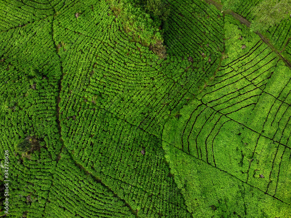 Bandung Indonesia 4 June 2020 : Beautiful Lake Patenggang with green tea field in ciwidey Indonesia
Bandung Indonesia 4 June 2020 : Beautiful Lake Patenggang with green tea field in ciwidey Indonesia