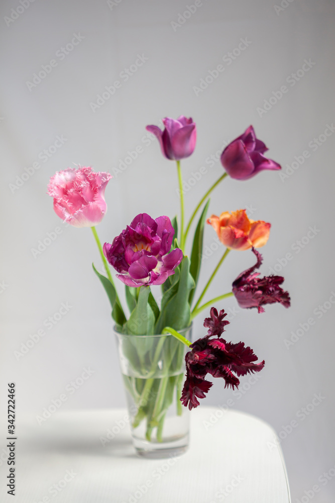 Bouquet of vivid colorful decorative tulips
