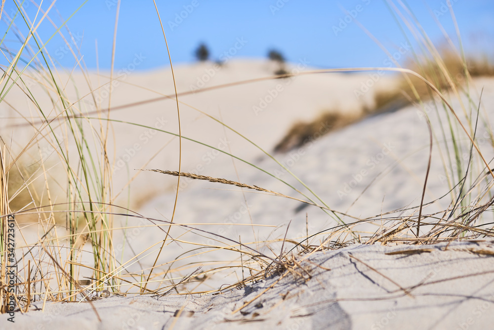 Obraz premium Sand dunes at Porto Pino, Italy