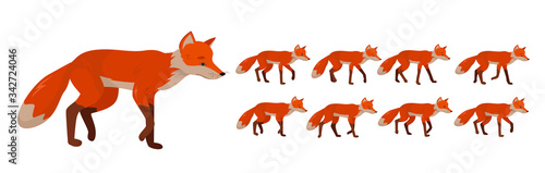 Tricky red fox, set of frames or sequences for character animation.