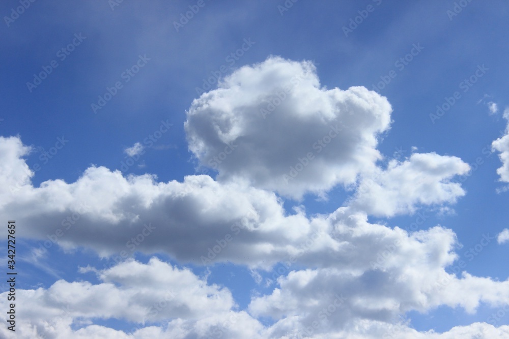 White clouds lit by the sun. Russia. White clouds lit by the sun. Russia.