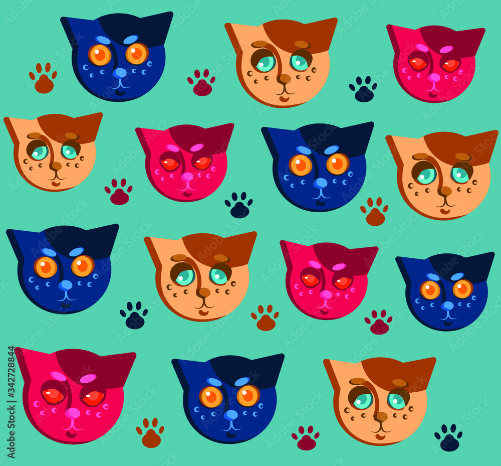 various kittens with different faces various kittens with different faces