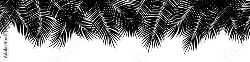 Black vector seamless summer palm leaves on white background.