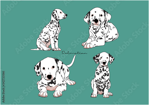 Vector Illustration of Dog, Dalmatian