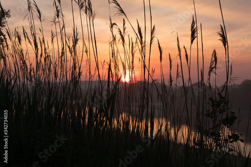Sonnenaufang über dem Fluss Weser mit Schilf im Vordergrund