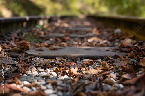 A old narrow gauge railway. A canyon Guamka, Russia, Krasnodar. A forest, a creek and rock at autumn.