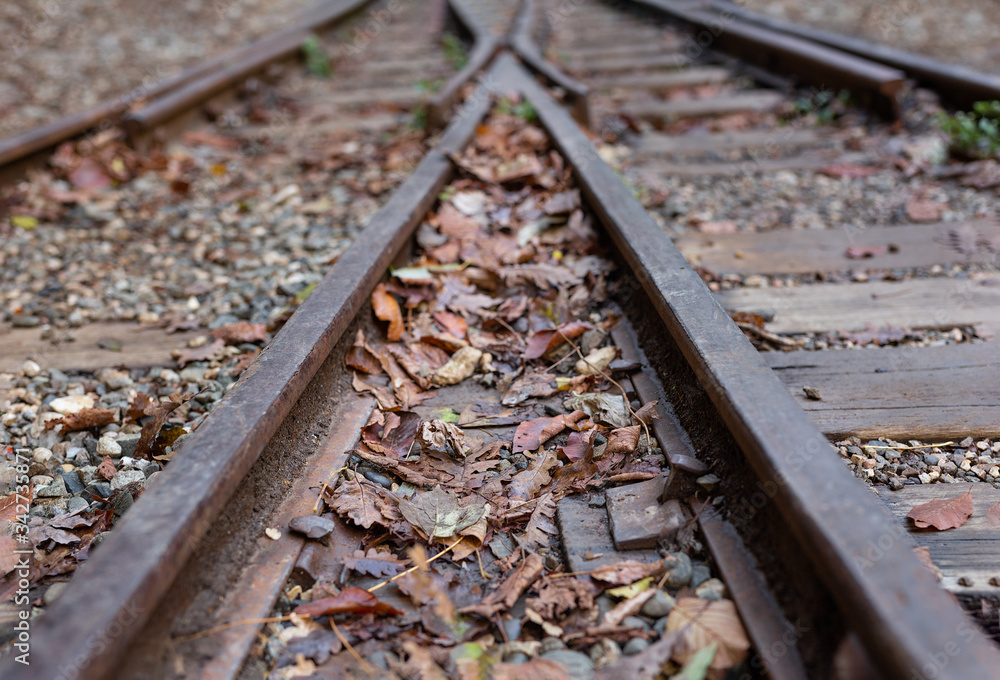 Naklejka premium A old narrow gauge railway. A canyon Guamka, Russia, Krasnodar. A forest, a creek and rock at autumn.