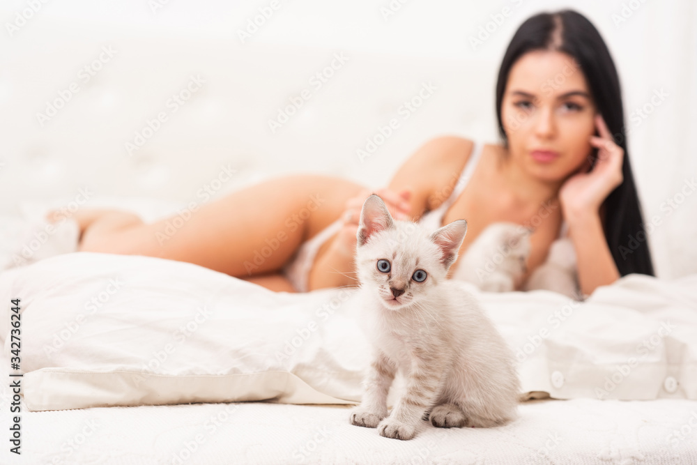 Sexy model play adorable kitten selective focus. Play with kitty. Cat and  lady. Playful pet. Woman