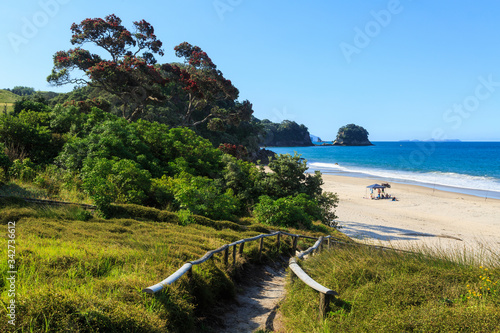 Summer at Whiritoa beach on the Coromandel Peninsula, New Zealand, with blossoming pohutukawa tree photo