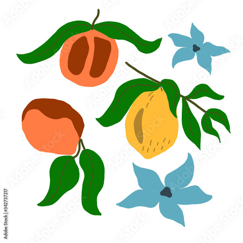 Vector pattern with lemons, peaches and flowers on a white background. For the design of wallpaper, wrapping, textile, prints for clothes