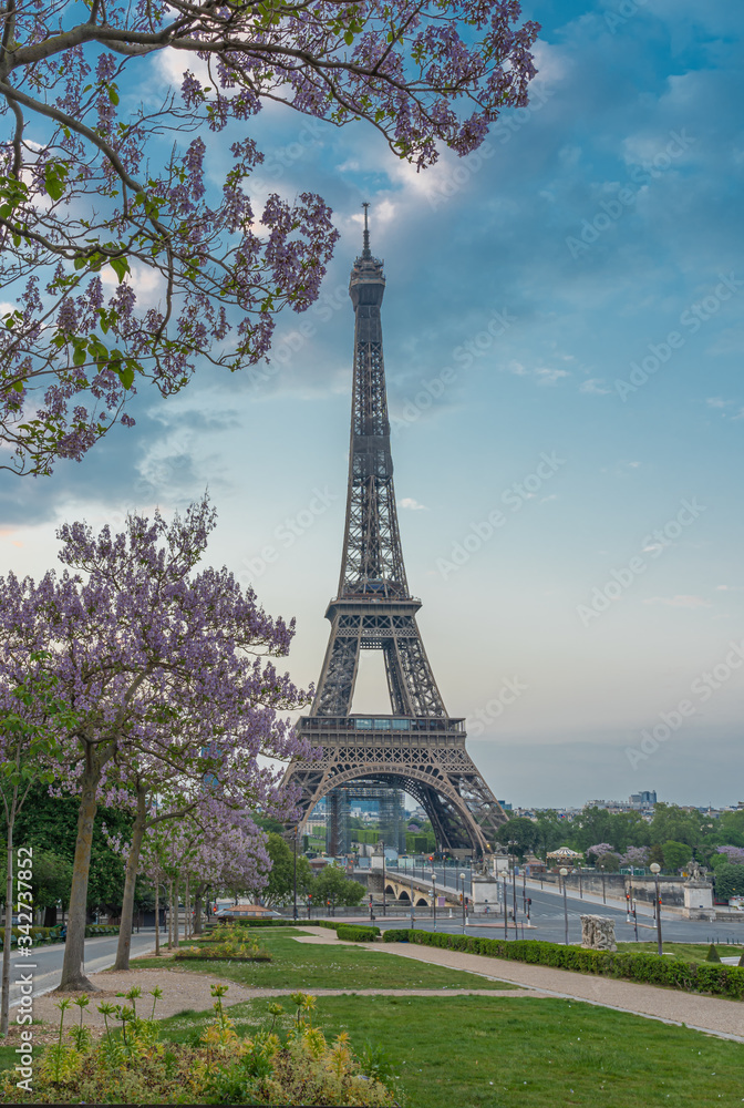 Paris, France - 04 25 2020: View of the Eiffel Tower from the Trocadero garden with  flowering trees during the coronavirus period