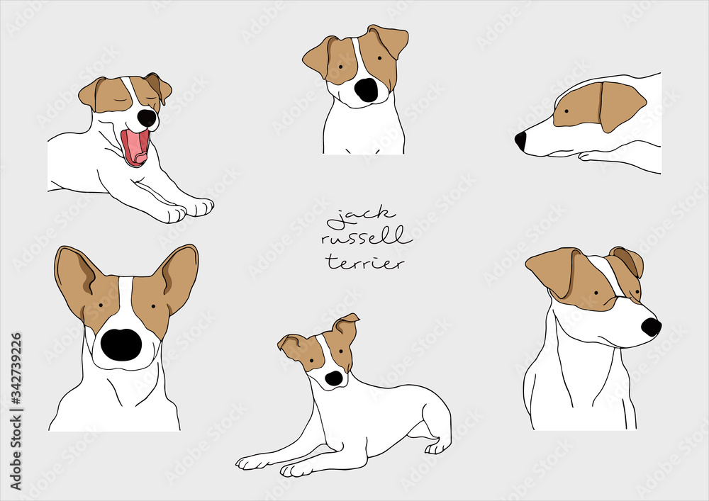Vector Illustration of Dog, Jack Russell Terrier Vector Illustration of Dog, Jack Russell Terrier