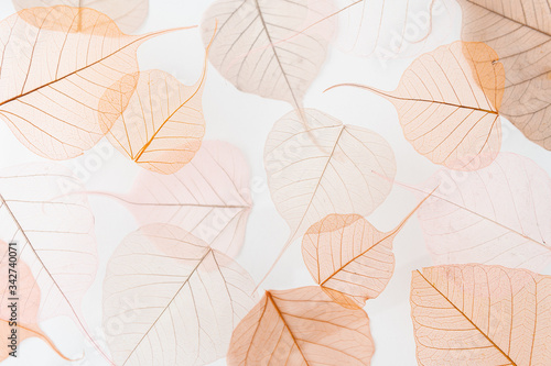 Background floral pattern of dry tree leaves. Levitation effect and pastel colors
