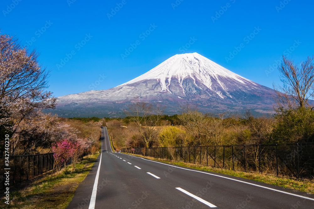 Naklejka premium 富士山と道