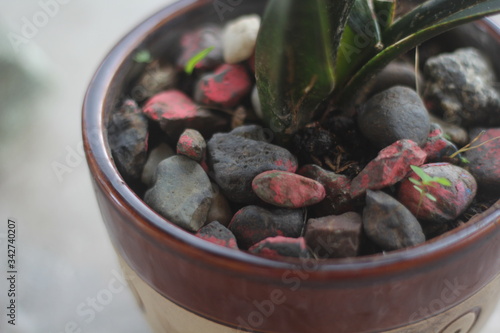 vas with a gravel stone