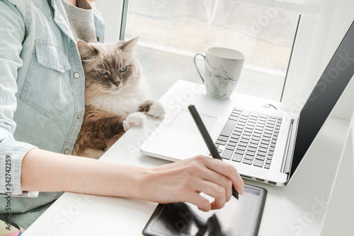 A young woman is working on a laptop at home near the window and her cat is sitting on her lap