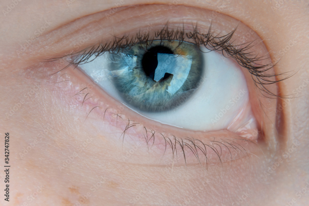 Obraz premium Macro photo of a female eye of blue color with yellow splashes