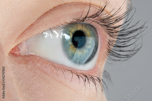 Macro photo of a female eye of blue color with yellow splashes