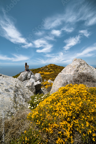flowers and plants in spring elba island