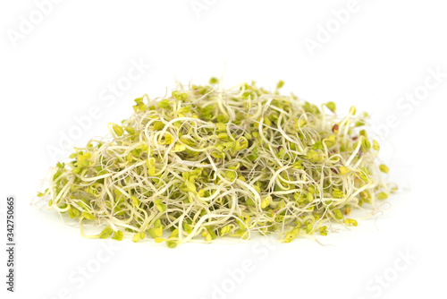 Fresh natural young broccoli sprouts