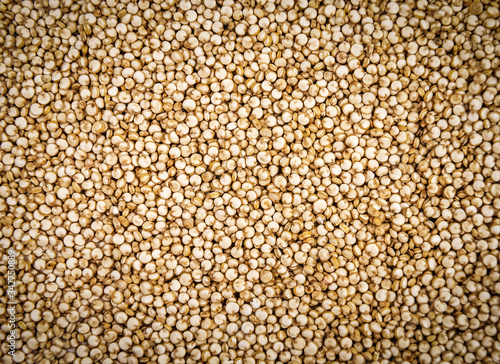quinoa seeds texture