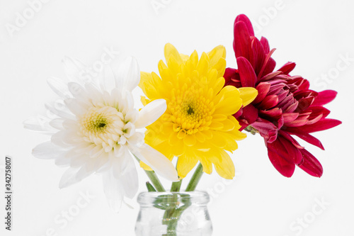 Big Selection of Various Flowers Isolated on White Background.