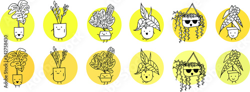 a set of 12 plants in pots with eyes: two of each type - one contour, the other with the possibility of coloring the plant. there are circles with shades of yellow in the background. 