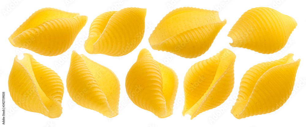 Conchiglie rigate. Raw shell pasta isolated on white background Conchiglie rigate. Raw shell pasta isolated on white background