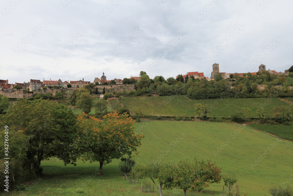 Vineyards near Vezelay, France