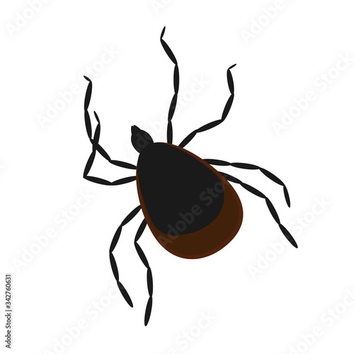 vector image of an insect tick.  tick-borne encephalitis.