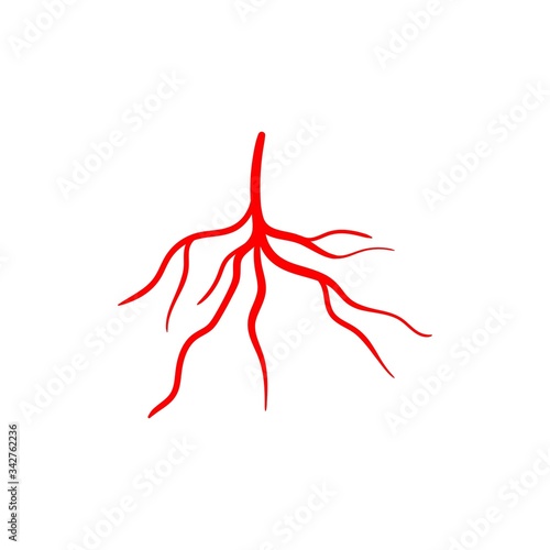 root silhouette vector graphic design illustration