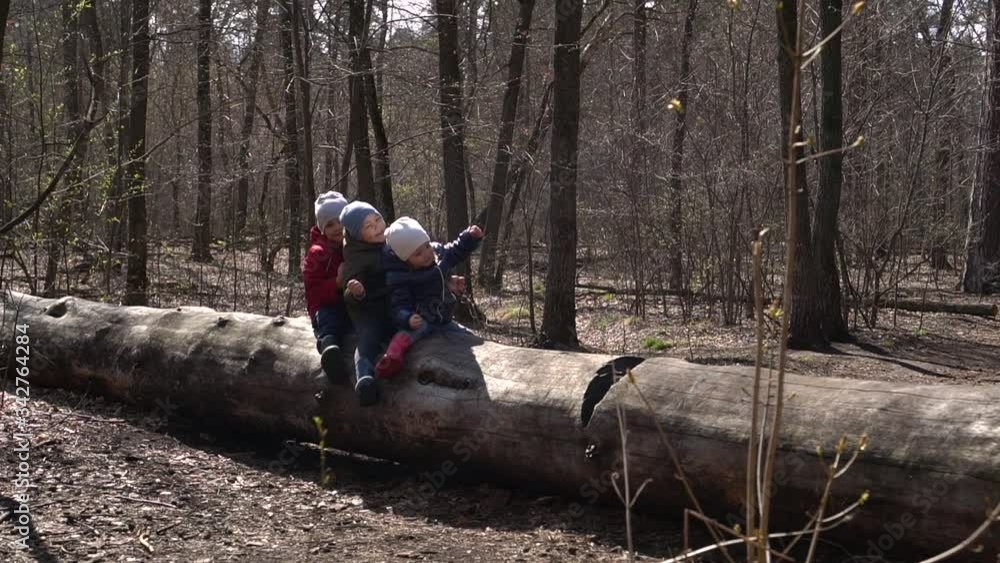 three children in warm clothes sit on a tree in the spring forest and have fun, slow-mo three children in warm clothes sit on a tree in the spring forest and have fun, slow-mo