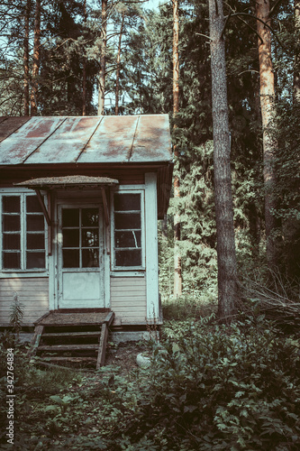 Tablou canvas Abandoned house exterior of an old wooden building on a glade forest amongst pine trees