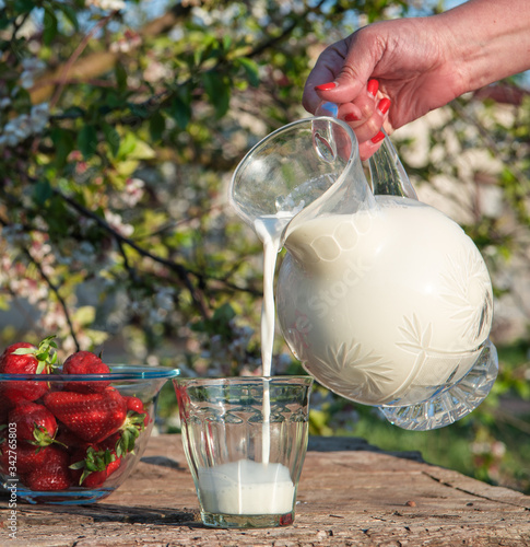 Fresh strawberries on plate on old wooden background. Red tulips in vase on table. Jar and glass of milk. Breakfast time. Healthy food. Vegetarian dish. Spring time
