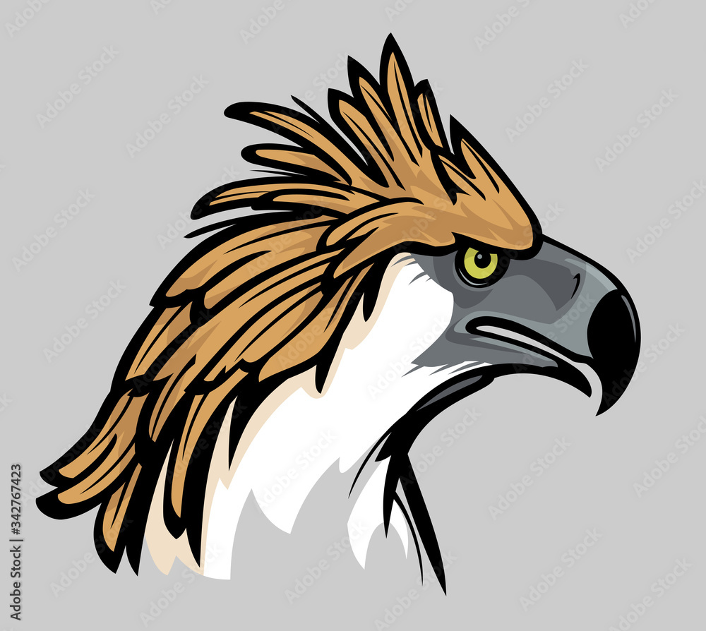 Philippine Eagle Head, Colored Side View Illustration Stock Vector ...