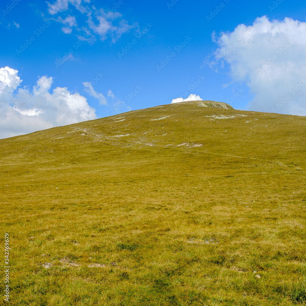 Fototapeta premium summer landscape with blue sky and alpine meadow 