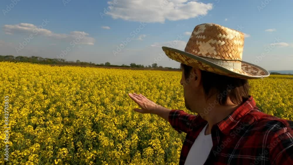Farmer vlogging for social media from blooming rapeseed field Stock ビデオ ...