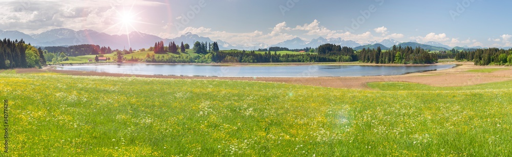 panoramic scene with lake Forggensee and alps mountain range in Bavaria