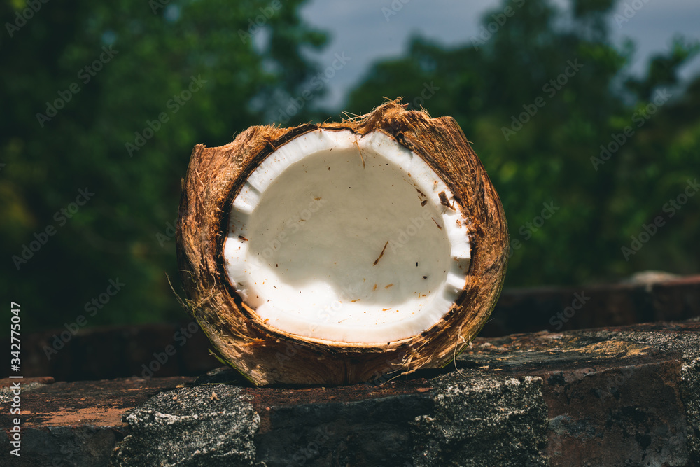 Fototapeta premium Broken coconuts on a wooden table with palm leaves