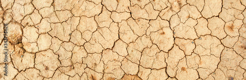 Background and texture of cracked dry earth. Panorama.