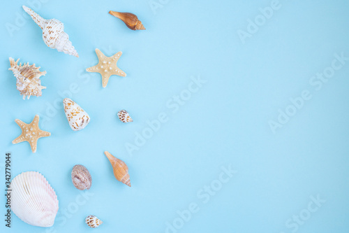 Creative  seashell pattern on pastel blue background with copy space. Concept of summer vacation. Summer flat lay.
